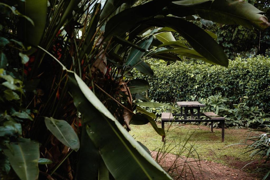 30 Wilson Bed & Breakfast Jinja Luaran gambar